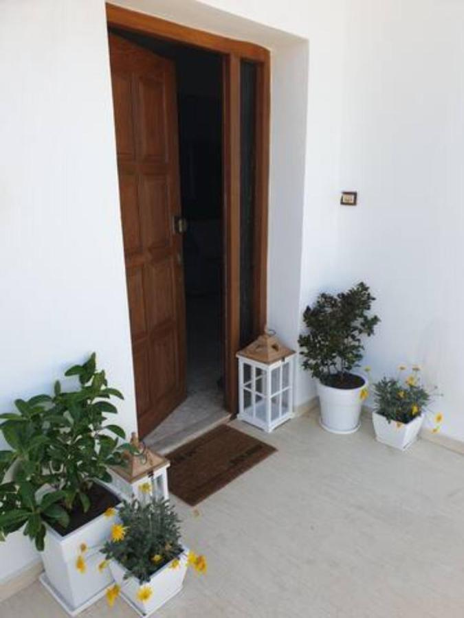 Palaikastro Holiday Apartment シティア エクステリア 写真
